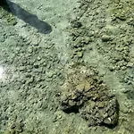 Tinys - Ferienhaeuser Am Attersee 公寓 *