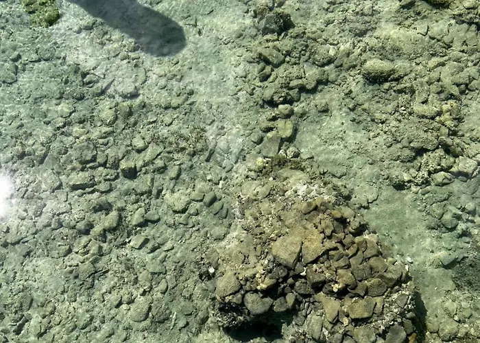 Tinys - Ferienhaeuser Am Attersee Διαμέρισμα *